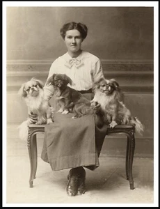 TIBETAN SPANIEL LADY DOGS LOVELY VINTAGE STYLE DOG PHOTO PRINT POSTER - Picture 1 of 1