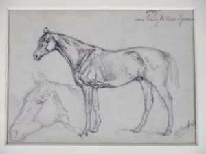 RICHARD BENNO ADAM 1873-1937 MUNICH fine! Horse drawing designated + sign. - Picture 1 of 10