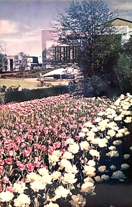 Postkarte Atlanta Georgia • Hurt Park Tulpenzeit & städtisches Auditorium - Bild 1 von 2