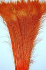 100 Pcs BLEACHED PEACOCK TAILS Feathers 35-40" OFFICIAL ORANGE; Costume/Crafts