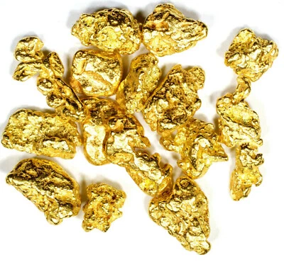 0.780 GRAMS ALASKAN YUKON BC NATURAL PURE GOLD NUGGETS #6 MESH (#G600) - Image 1 of 4