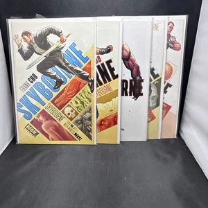 Skybourne #1-5 2016 Boom! Comics 1 2 3 4 5 Frank Cho komplette Serie (G19)(3) - Bild 1 von 6