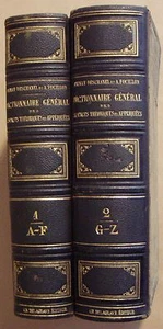 PRIVAT-DESCHANEL FOCILLON - DICTIONNAIRE GENERAL SCIENCES THEORIQUES APPLIQUEES  - Picture 1 of 10