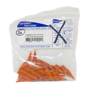 36 Count Gateway Feathers 2" Right Wing: Rayzr Barred Orange 200RRBOR - Picture 1 of 2