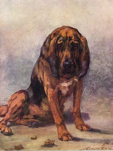 BLOODHOUND SCHÖNE ORIGINAL HUND FARBIGE KUNSTDRUCKSEITE VON 1934 VON MAUD EARL - Bild 1 von 1