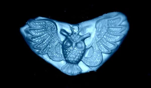 Eule f1 - Silikonform - Süßigkeiten Plätzchen Basteln Kuchen Gips Harz Minzen Fondant  - Bild 1 von 3