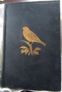 Our Favourite Song Birds by Charles Dixon (Hardback,1897) - Picture 1 of 11