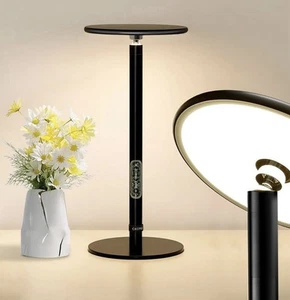 2 in 1 Desk Lamp, Bedside Lamp, or Grow Lamp. New in Box Minimalist Design Lamp - Picture 1 of 6