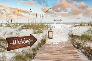 Wedding Directional Arrow Yard Signs (23.5 x 8.5) with Heavy Duty Yard Stakes - Picture 1 of 10