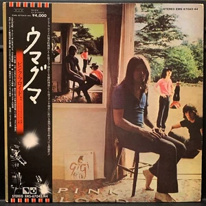 2LP Pink Floyd Ummagumma Japan 1976 White Label LP OBI No Insert VG+/NM- - Picture 1 of 8