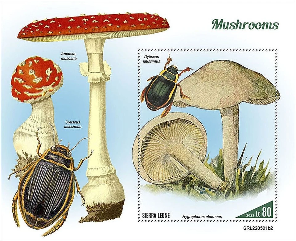 MUSHROOMS & INSECTS Fungi MNH 1v-Stamp Sheet #121 (2022 Sierra Leone) - Image 1 of 1