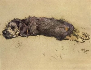 Cecil Aldin Dandie Welpe Druck Ein Dutzend Hunde oder so Foto Poster Bild - Bild 1 von 3