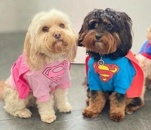 DC Comics Supergirl dog costume shirt XXL 45cm - New - Official merchandise - Picture 1 of 3