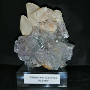 Spécimen Fluorine et Calcite de Fréjus/427 grammes (collection) - Picture 1 of 1
