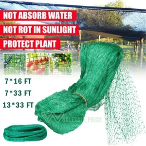 33FT Anti Bird Netting Pond Net Protection Tree Crops Plants Fruits Garden Mesh - Picture 1 of 27