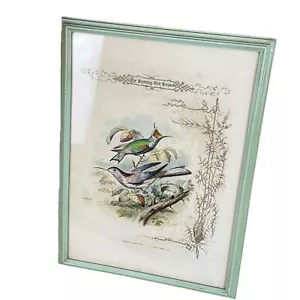 Impresión artística vintage El colibrí recuerdo Paul Jehrard litografía colibríes - Imagen 1 de 14