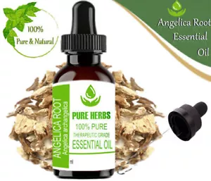 Olio essenziale puro Angelica radice 100% puro Angelica arcangelica we103 - Foto 1 di 11