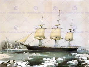 PAINTING DRAW RED JACKET CLIPPER SHIP CAPE HORN ICE TRADE SAIL ART PRINT CC1162 - Bild 1 von 2