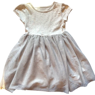 Vestido falda tutú manga corta gris brillante Wonder Nation para niña talla 3t Foto 1 de 4