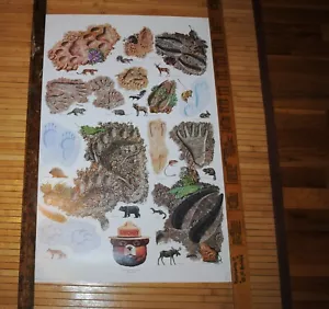Vintage Smokey Bear Animal Tracks Poster Leave a good impression in the forest - Picture 1 of 4