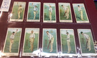 WILLS AUSTRALIAN & ENGLISH CRICKETERS NUMBERED 1903 SET VICTOR TRUMPER J DARLING