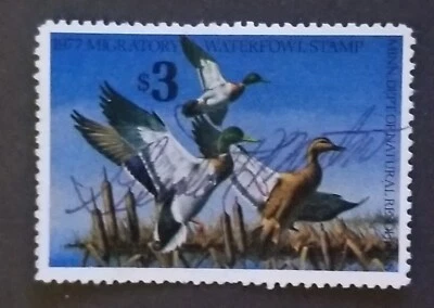 MINNESOTA 1977 Signed Duck Stamp Used BOB Back of Book z8596 - Image 1 of 2