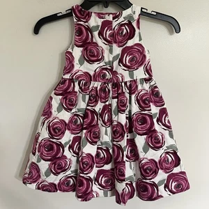 Girls Janie And Jack Rose Plum Floral Print Dress With Tulle Lining Size 3 - Picture 1 of 11