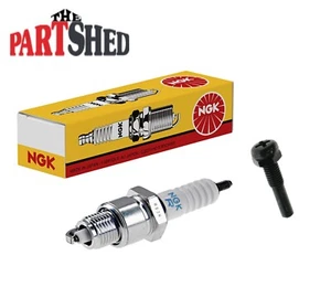 OEM Yamaha PW50 Y-Zinger Throttle Stopper Screw and Spark Plug Kit (1981-2025) - Picture 1 of 6