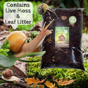 African land snail substrate PREMIUM PLUS Woodland Snail Soil GALS Moss + Leaves - Picture 1 of 10