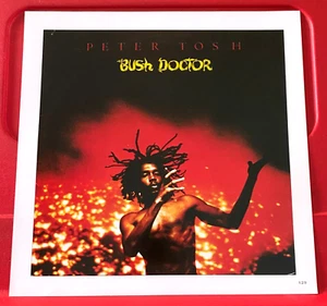 Peter Tosh Bush Doctor Album Cover Art PICTURE / PRINT 8.5" x 8.5" - Imagen 1 de 3