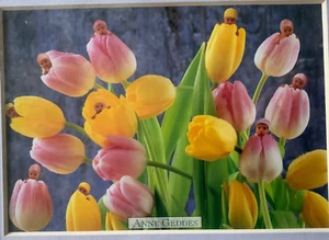 Vintage Anne Geddes Tulips 8” x 10” Sealed Photo Print - Picture 1 of 5