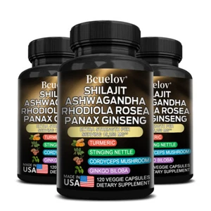 Shilajit Ashwagandha Rhodiola Rosea Ginseng Apoya la Salud del Cerebro y del Sistema Nervioso - Imagen 1 de 15