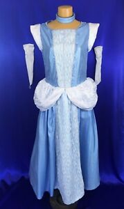 Ladies/Teens Disney Classics Cinderella Costume Gown Gloves Neckband size S
