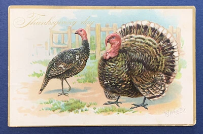 RAPHAEL TUCK & SONS USADO DÍA DE ACCIÓN DE GRACIAS POSTAL NO. 123 1903 MASS Foto 1 de 4