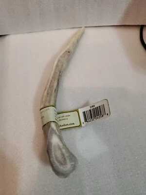 Prairie Dog Pet Products Deer Regular Antler Treat, 8" to 9"  - Image 1 of 4