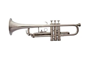 TROMBA ARGENTO NICHELATO BB PITCH TROMBA CUSTODIA RIGIDA LIBERA + BOCCAGLIO - Foto 1 di 5