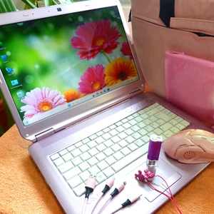 XXL SET Sony Vaio NS31 ROSA PINK SPEZIAL 14 Zoll l SSD Windows 11 l 6GB RAM NEU - Bild 1 von 18