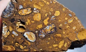 VENTA Conglomerado de ópalo de roca pieza áspera Koroit 530 quilates matriz azul lapidaria - Imagen 1 de 13
