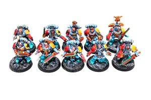 Warhammer Space Wolves Grey Hunters Well Painted JYS3 - Picture 1 of 4