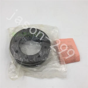 PL055X100SL envío rápido por DHL O EMS - Imagen 1 de 5