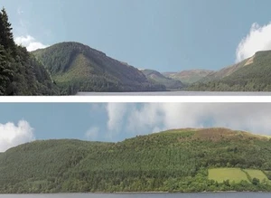 ID 201A Backscenes 00 Gauge 'Forrest Hills' 2 x 15" x 60" Rolls in Tube T48 Post - Picture 1 of 10