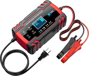Cargador de batería de 10 amperios, 12 V y 24 V, totalmente automático - Picture 1 of 12