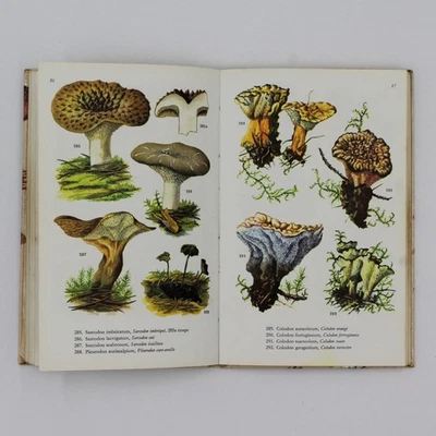 1975 Champignons Comestibles et Vénéneux – 343 Illustrations couleurs - Photo 1/4