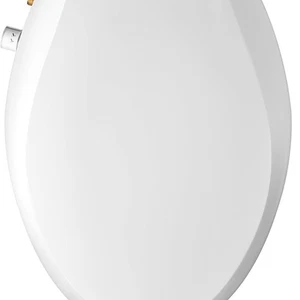Elongated Bidet Toilet Seat Non-Electric Dual Nozzle Soft Close White Bathroom - Picture 1 of 9