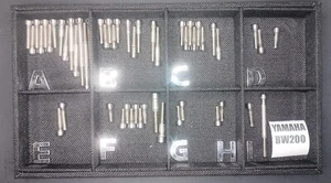 Yamaha Bw200 Stainless Bolt Engine Kit Set! Big Wheel 200 Polished - Bild 1 von 4