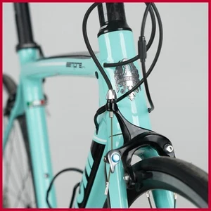 NOS Bianchi SEMPRE PRO CARBON SHIMANO ULTEGRA 11s road bike rim brakes Size 53 - Picture 1 of 22