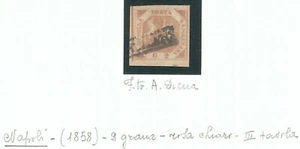 74338 - ANTICHI STATI:  NAPOLI  - Sassone 7b rosa Chiaro USATO - A DIENA   - Imagen 1 de 1