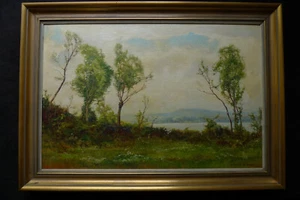 Ludwig Bürgel 1901-1972 - Vista del lago Wallersee Salzburgo - Imagen 1 de 15