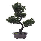  Artificial Pine Adornment Bonsai Tree Flower Pot Desk Decor Faux Plant Indoor