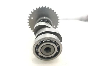 DINLI,MASAI - 1 x CAMSHAFT COMP, GENUINE PARTS DL801-A300 - 300cc E130010-00 - Picture 1 of 5